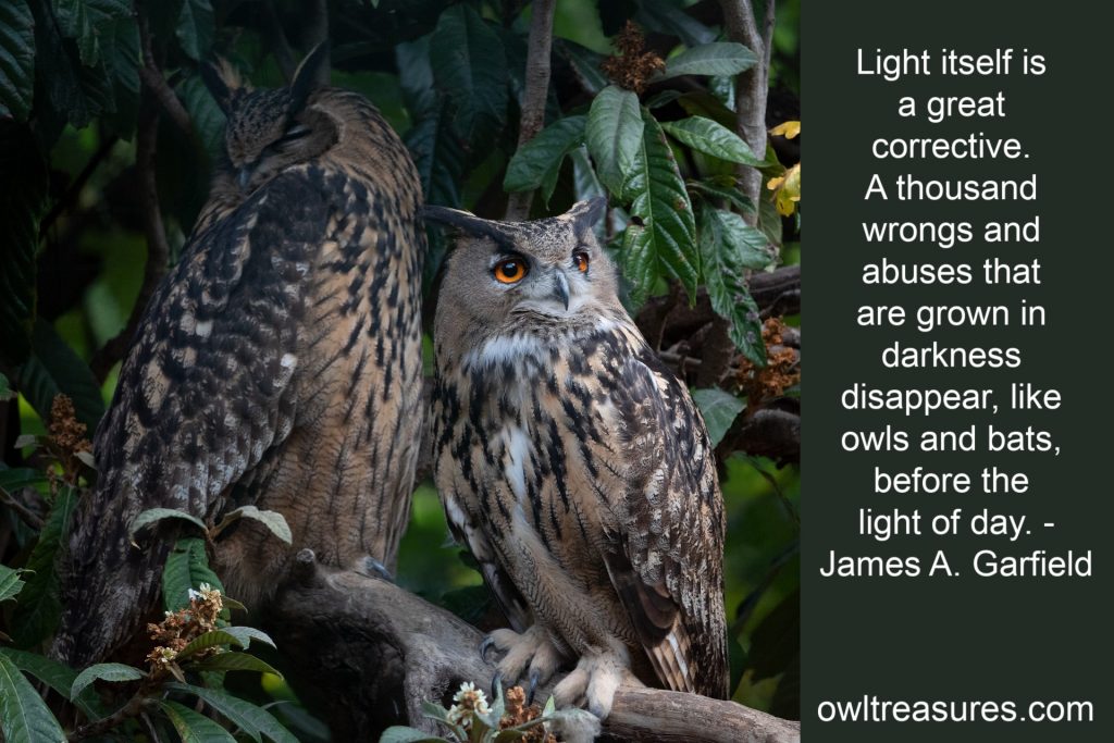two eagle owls with James A. Garfield quote