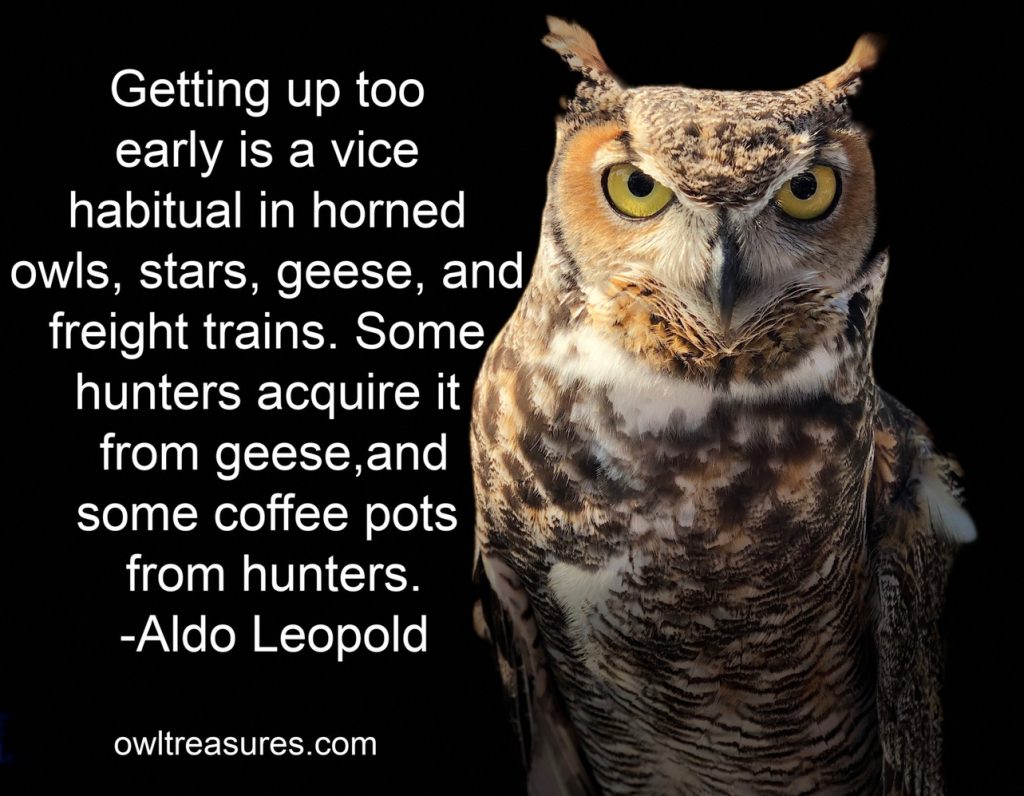 horned owl with Aldo Leopold Quote