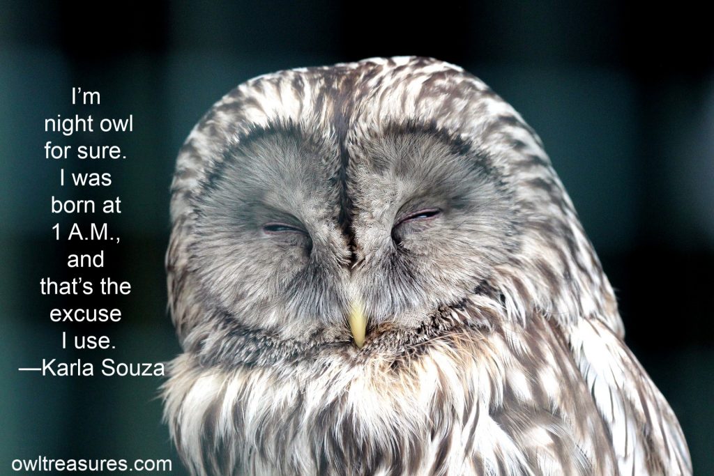 Sleeping owl with quote by Karla Souza