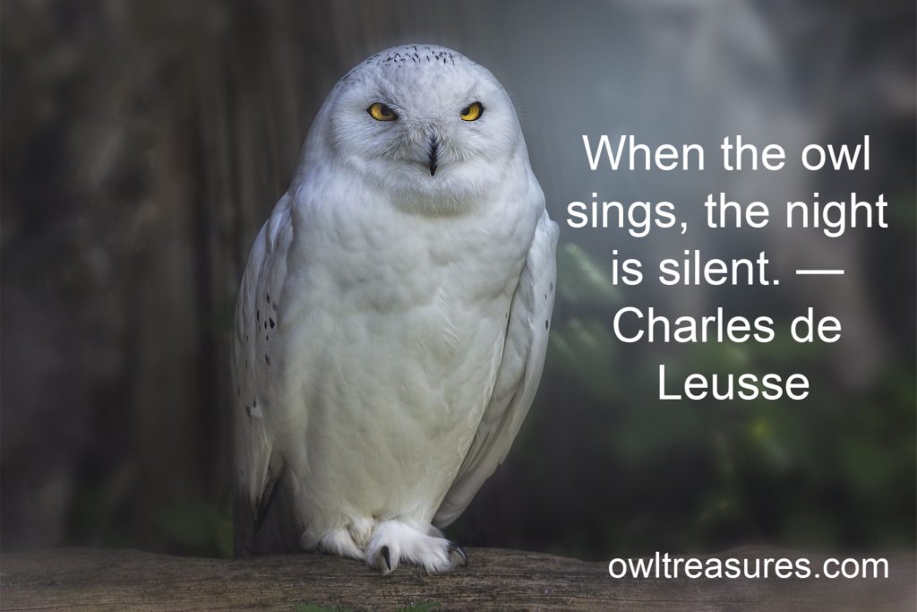 raptor owl with Charles De Leusse quote