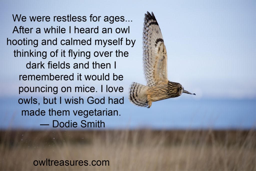 short- eared owl with quote by Dodie Smith