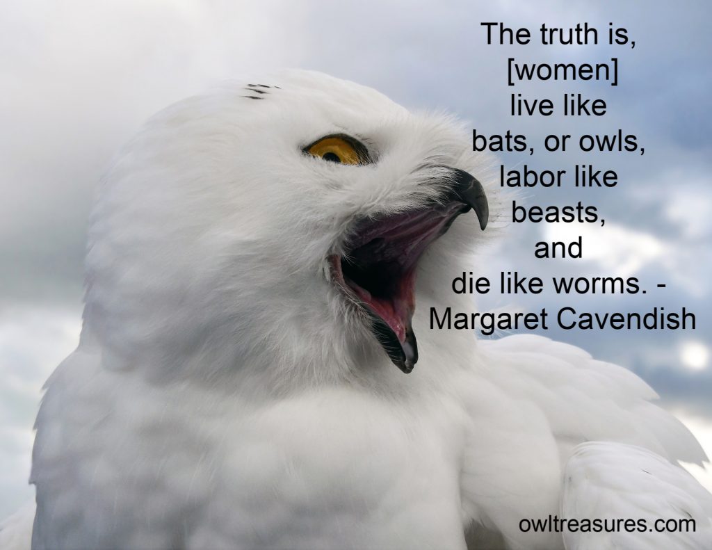 snowy owl with Margaret Cavendish Quote