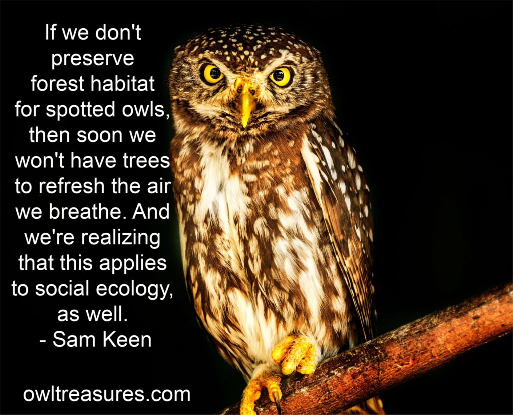 spotted owl image with Sam Keen quote