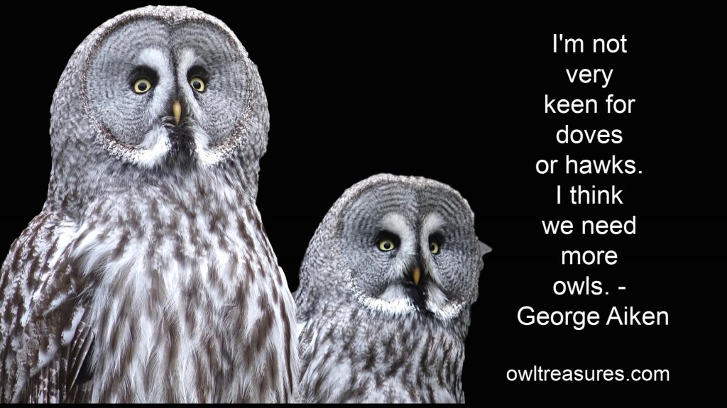 two owls with George Aiken quote